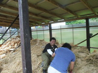 DSCF1272.JPG