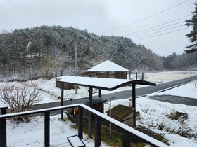 20250202_111923.jpg