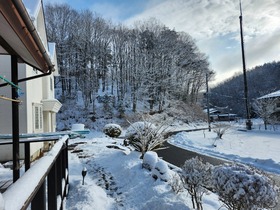 20250309_074817.jpg