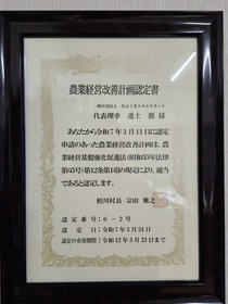 20250406_181310.jpg