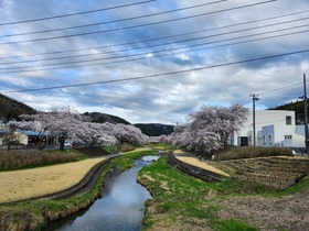 20250414_163436.jpg