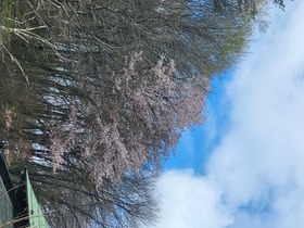 20250424_095057.jpg