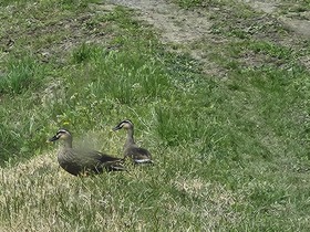 20250428_113935.jpg