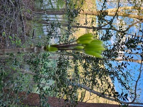 20250429_165404.jpg