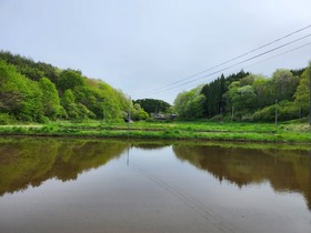 20250511_162931.jpg