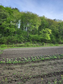 20250512_170559.jpg