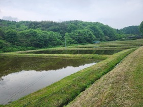 20250522_083830.jpg