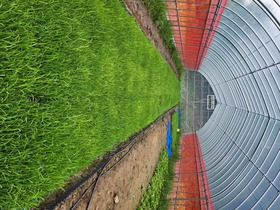 20250522_084933.jpg