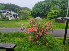 20250522_172848.jpg