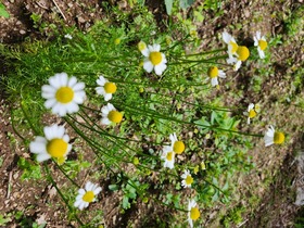 20250523_110038.jpg