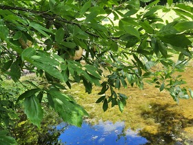20250617_100600.jpg