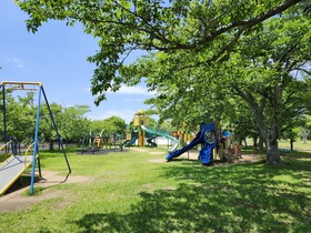 20250618_110719.jpg