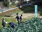 DSCF0881.JPG