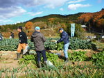 DSCF0883.JPG