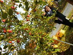DSCF0903.JPG