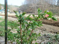 DSCF2143.JPG