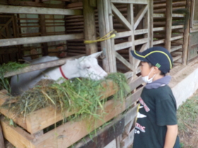 DSCN0308.JPG