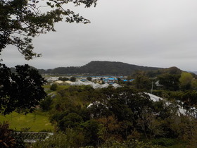 DSCN0329.JPG
