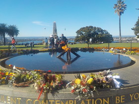 DSCN0337.JPG