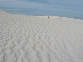 DSCN0395.JPG