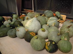 DSCN0595.JPG