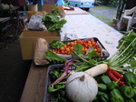 DSCN0598.JPG