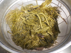 DSCN1156.JPG