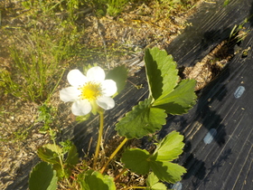 DSCN1163.JPG