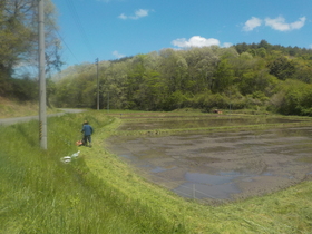 DSCN1167.JPG