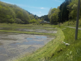 DSCN1169.JPG