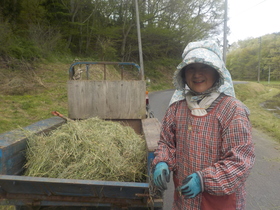 DSCN1172.JPG