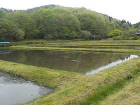 DSCN1178.JPG