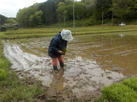 DSCN1195.JPG