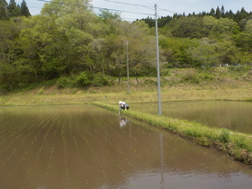 DSCN1198.JPG
