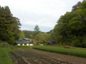 DSCN1210.JPG