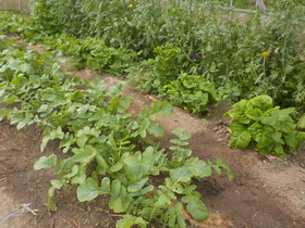 DSCN1230.JPG