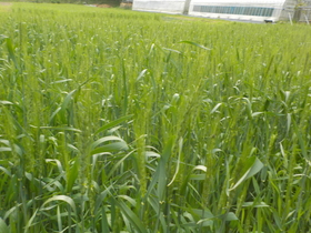 DSCN1233.JPG