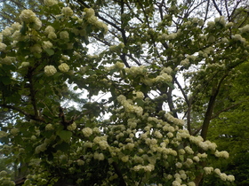DSCN1234.JPG