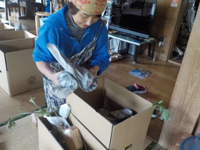 DSCN1239.JPG