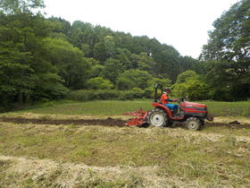 DSCN1785.JPG