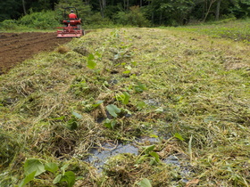 DSCN1787.JPG