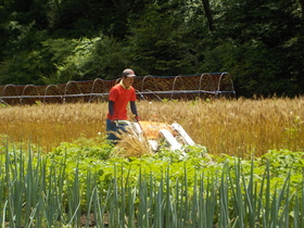 DSCN1815.JPG
