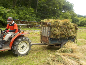 DSCN1830.JPG