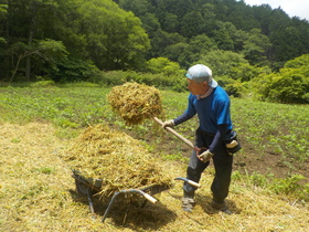 DSCN1836.JPG