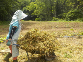 DSCN1839.JPG
