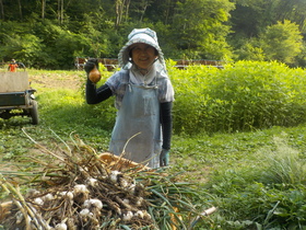 DSCN1842.JPG