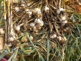DSCN1843.JPG
