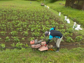 DSCN1845.JPG