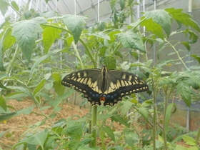 DSCN1849.JPG