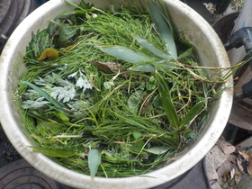 DSCN2477.JPG